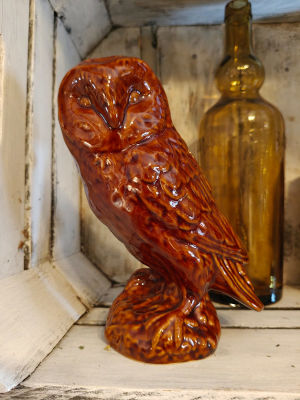 Description of image 1