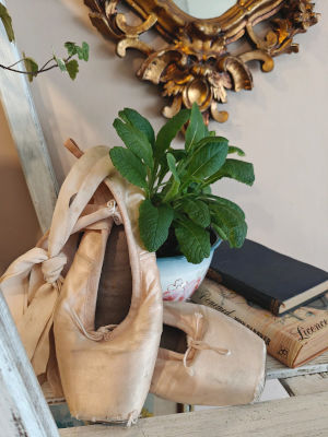 Description of image 1